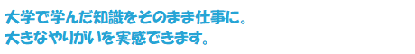 大学で学んだ知識をそのまま仕事に。大きなやりがいを実感できます。